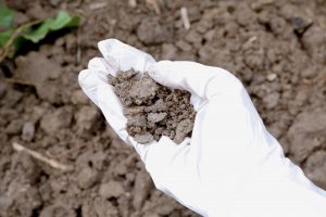 Environmental Soil Testing