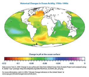 Ocean Acidity